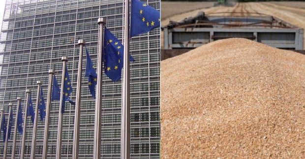 Три держави ЄС виступили проти Брюсселя через торгове угоду з Україною Три держави ЄС виступили проти Брюсселя через торгове угоду з Україною