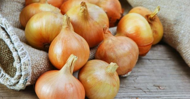 Українські фермери продають цибулю майже безкоштовно скільки коштує кілограм зараз Українські фермери продають цибулю майже безкоштовно скільки коштує кілограм зараз