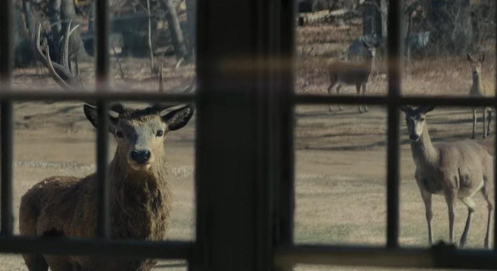 Опубліковано перший трейлер нового загадкового фільму Спілберга Опубліковано перший трейлер нового загадкового фільму Спілберга