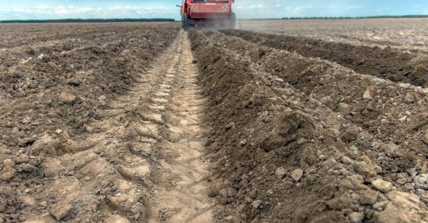 Вартість землі в Україні оновлена скільки коштує гектар зараз Вартість землі в Україні оновлена скільки коштує гектар зараз