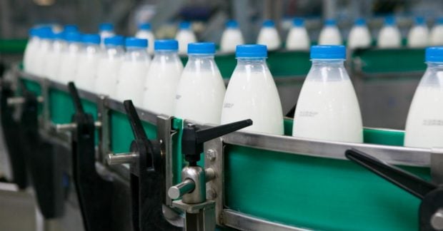 Україна збільшує експорт молочних продуктів але доходи від цього зменшуються Україна збільшує експорт молочних продуктів але доходи від цього зменшуються