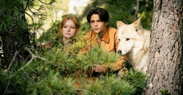 Вийшов офіційний трейлер підліткового фентезі Діти лісу 2 Вийшов офіційний трейлер підліткового фентезі Діти лісу 2