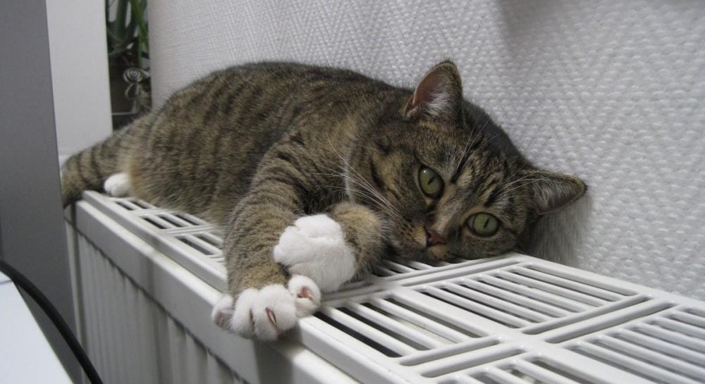 Котел чи теплонасос що ефективніше для опалення будинку за версією вчених Котел чи теплонасос що ефективніше для опалення будинку за версією вчених