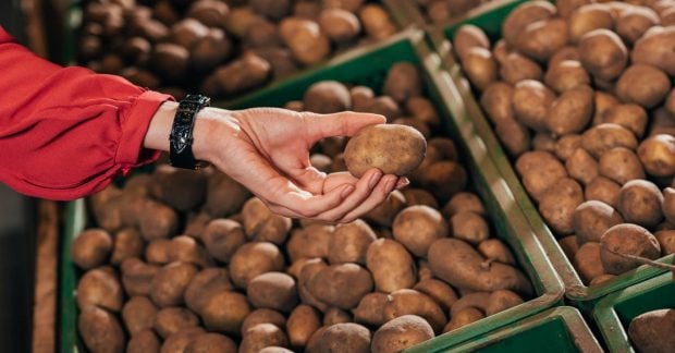 В Україні зростає ціна на картоплю скільки зараз коштує кілограм В Україні зростає ціна на картоплю скільки зараз коштує кілограм