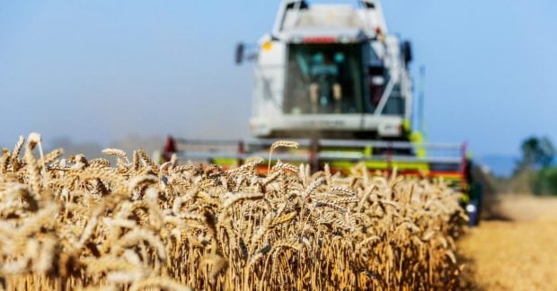 Експорт сільськогосподарської продукції України у 2025 році нові тенденції та основні товари Експорт сільськогосподарської продукції України у 2025 році нові тенденції та основні товари