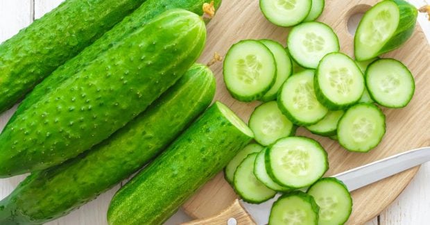 В Україні через низький попит падають ціни на огірки скільки коштує кілограм В Україні через низький попит падають ціни на огірки скільки коштує кілограм