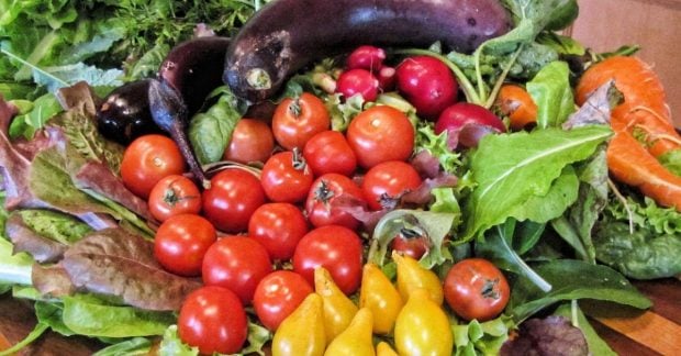 Ціни на моркву та цибулю падають а фрукти дорожчають станом на сьогодні Ціни на моркву та цибулю падають а фрукти дорожчають станом на сьогодні