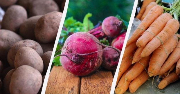 Картопля морква та буряк подешевшали українські фермери розпродають овочі Картопля морква та буряк подешевшали українські фермери розпродають овочі